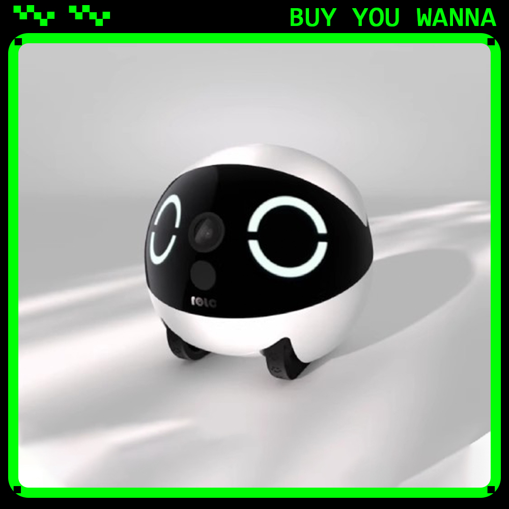 Home Security Monitoring - Enabot ROLA Mini Smart Robot Intelligent