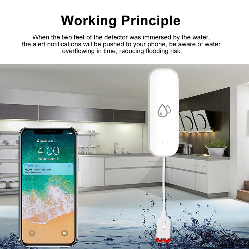 Tuya WiFi Water Leakage Alarm  - Home Security Monitoring review and price